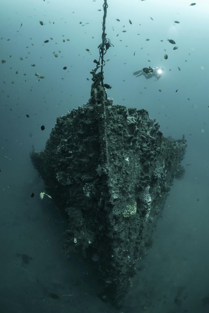 Złote suwereny, guldeny i gwinee – jakie monety i skarby czekają na nas na dnie oceanu?